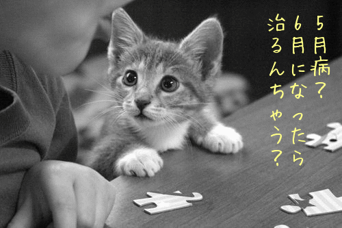 f13a1a9cbe2dc1f7dfcc049d50eeb00b_0.gif