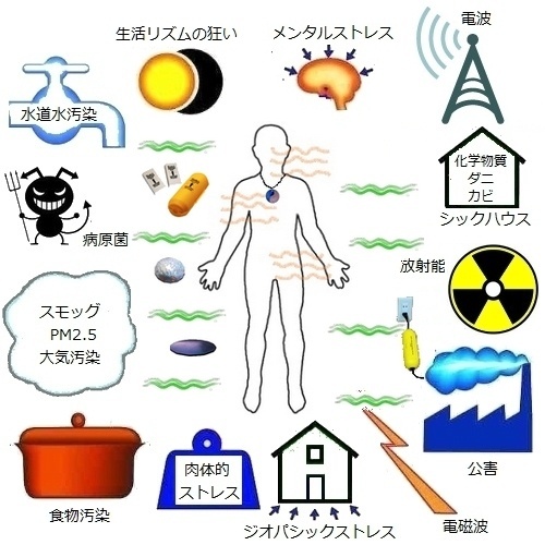 ご自分とその周りを、心地良いエネルギーにするために・・・テスラ L オイスターキット