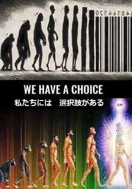 人類の2極化