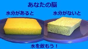 46c6fb94-2c6b-4575-b60e-0a75799a4708.jpg