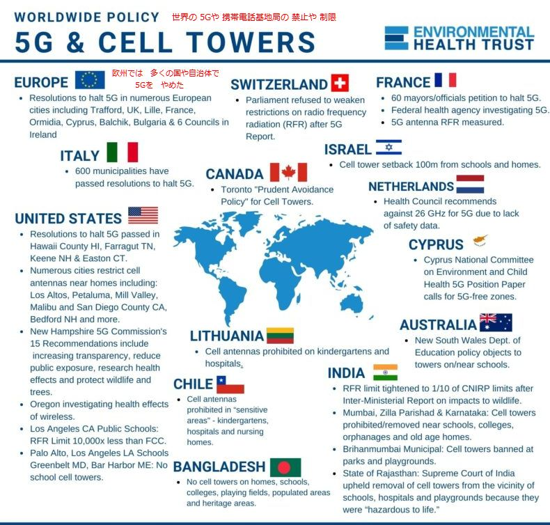 5Gをやめた国