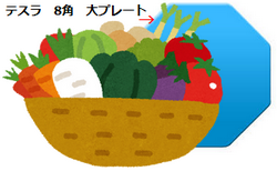 食品に、テスラ 8角大プレート