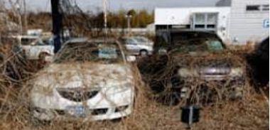 8yrs-fukushima.jpg