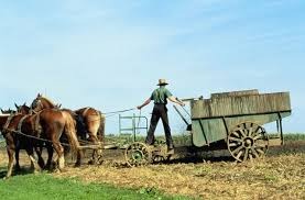 Amish4.jpg