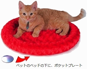Cat_Bed.jpg