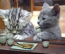 まあ飲めや