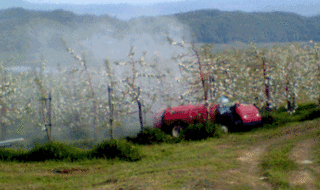りんご農薬散布.gif