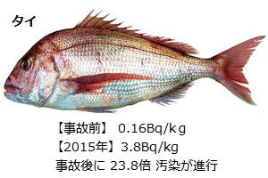 タイ.png