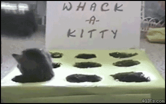 モグラ猫.gif