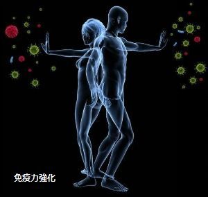 免疫力強化.jpg