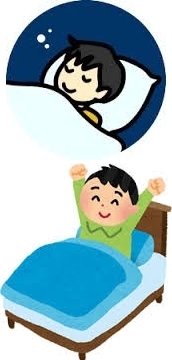 テスラ トラベルプレートで、快眠快起床!