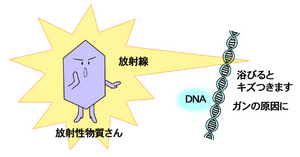 放射線がDNAを傷つける