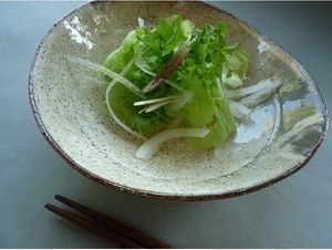 粉引平鉢薄緑色