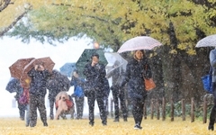 紅葉に雪.jpg