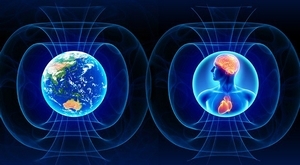 Earth & Human Electromagnetic Fields.jpg