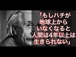 EinsteinBee.jpg