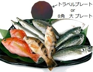 放射能汚染しているかもしれない魚介にも テスラ 8角 大プレート
