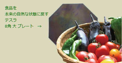 ゲノム編集食品にも
テスラ 8角 大プレート