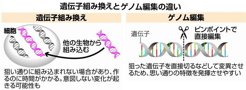GMO genome-edit.jpg