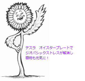 テスラ オイスタープレートで
植物も元気に!
