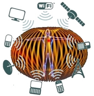 Human energy field torus.jpg