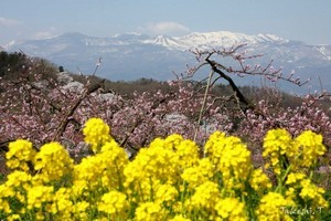 IMG_0023-768x512.jpg