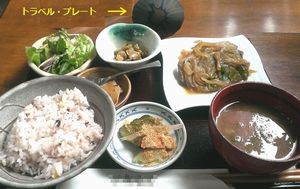 外食時にも、テスラ トラベルプレート