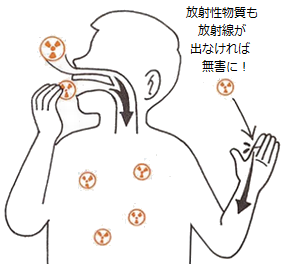 No-Radiation-Exposure.png
