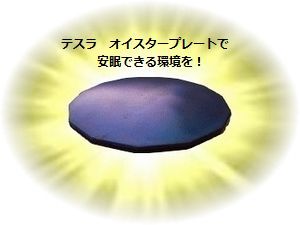 テスラ オイスタープレートを置いて、快眠環境を!