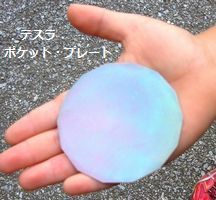 子どもを守るテスラ ポケットプレート