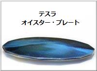 環境汚染に、テスラ オイスタープレート