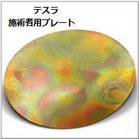 PractitionerPlate.png