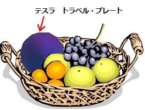 野菜・果物の残留農薬、添加物など汚染物質に、テスラ トラベルプレート