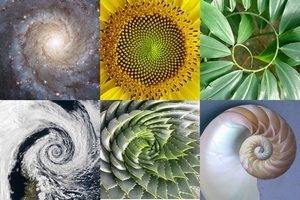 The-Golden-Ratio.jpg