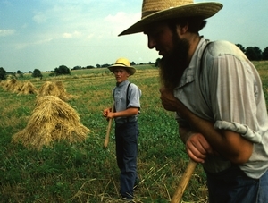 amish-fatherss.jpg
