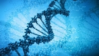 attachedDNA200.jpg