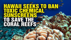 bansunscreencoralreef.jpg