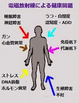 body.jpg