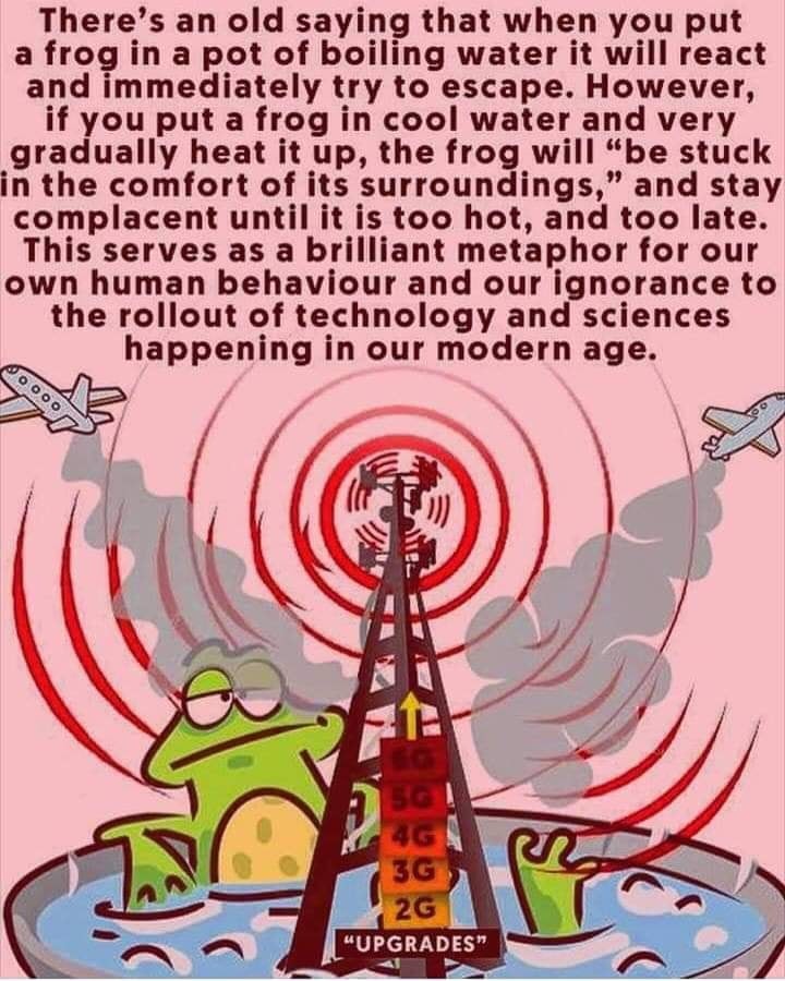 boiled frog.jpg