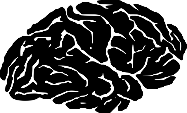 brain-1299830_640.png