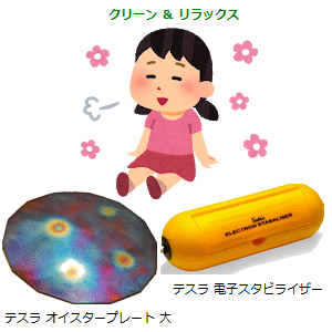 テスラで、クリーン&リラックス!