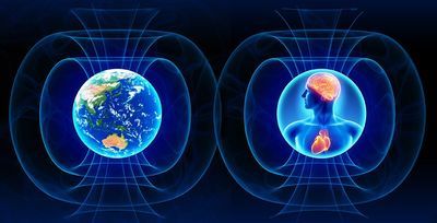 coherence-bridging-personal-social-and-global-health.jpg