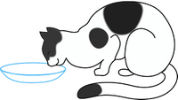 drinkingCat.png