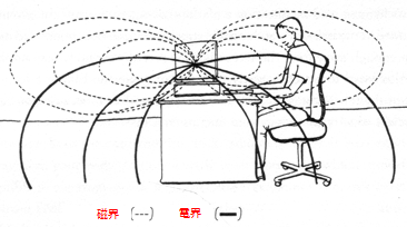 emfCompu.gif