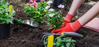 gardening.jpg