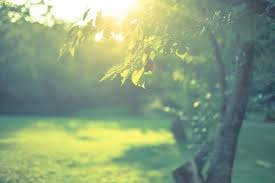 green.jpg
