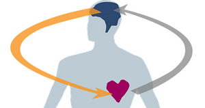 heart-2546039_640.png