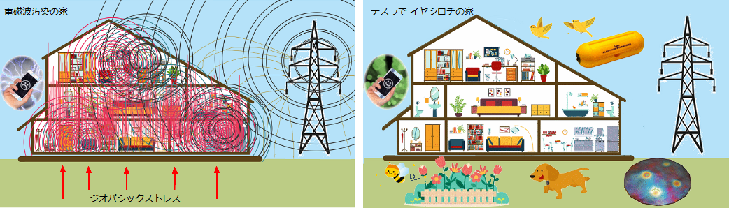 テスラ 使用前・使用後