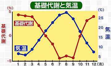 夏は代謝が落ちている