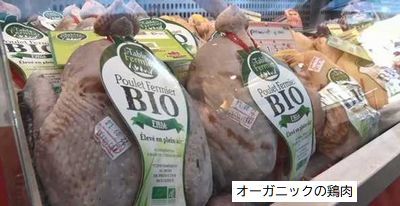 BIO=オーガニック